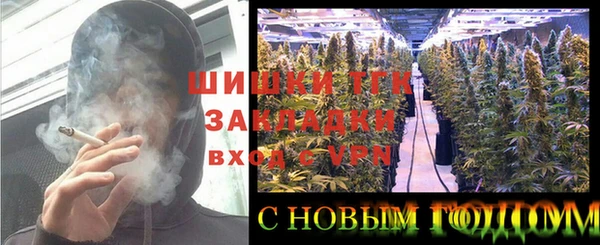 соль ск Арсеньев