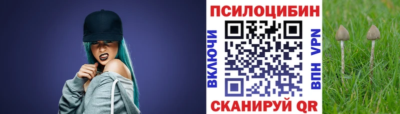 Псилоцибиновые грибы ЛСД Купить закладки Весьегонск